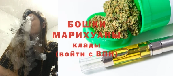 дурь Каменка