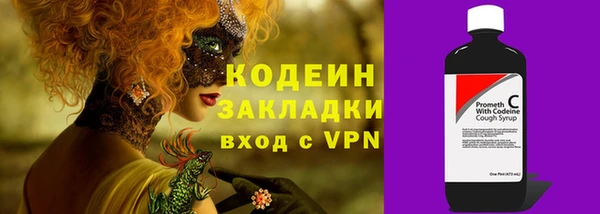 дурь Каменка