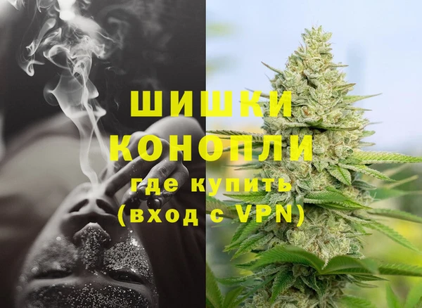 дурь Каменка