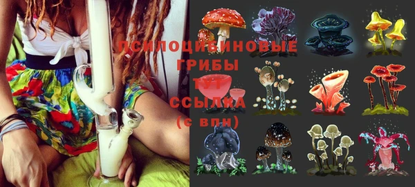 прущая мука Володарск