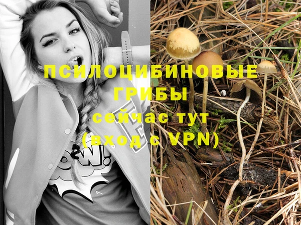 мефедрон Каменногорск