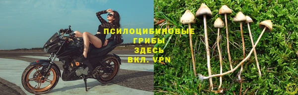 прущая мука Володарск