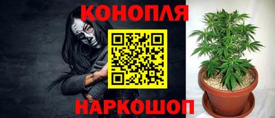 эйфоретик Тара