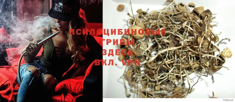 сколько стоит  Альметьевск  Галлюциногенные грибы ЛСД 